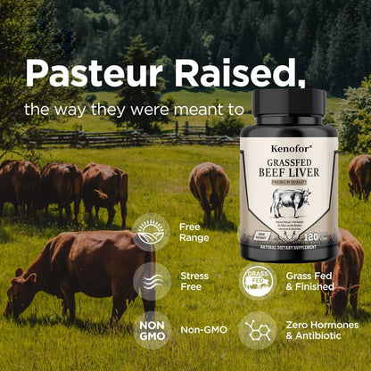 Beef Liver Supports Healthy