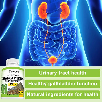 Chanca Piedra Supplement