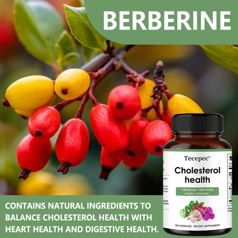 Cholesterol Support Supplement