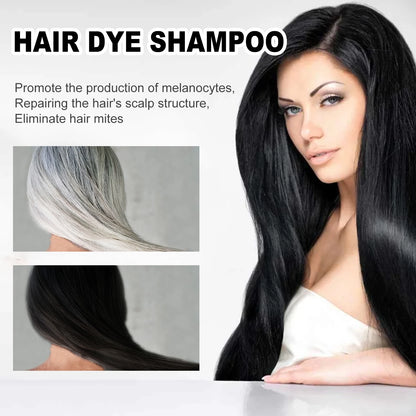 Natural Hair Color Shampoo