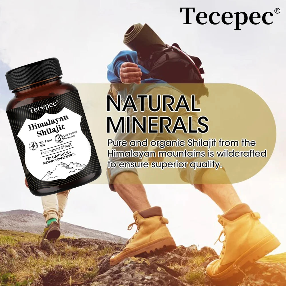 Himalaya Supplements